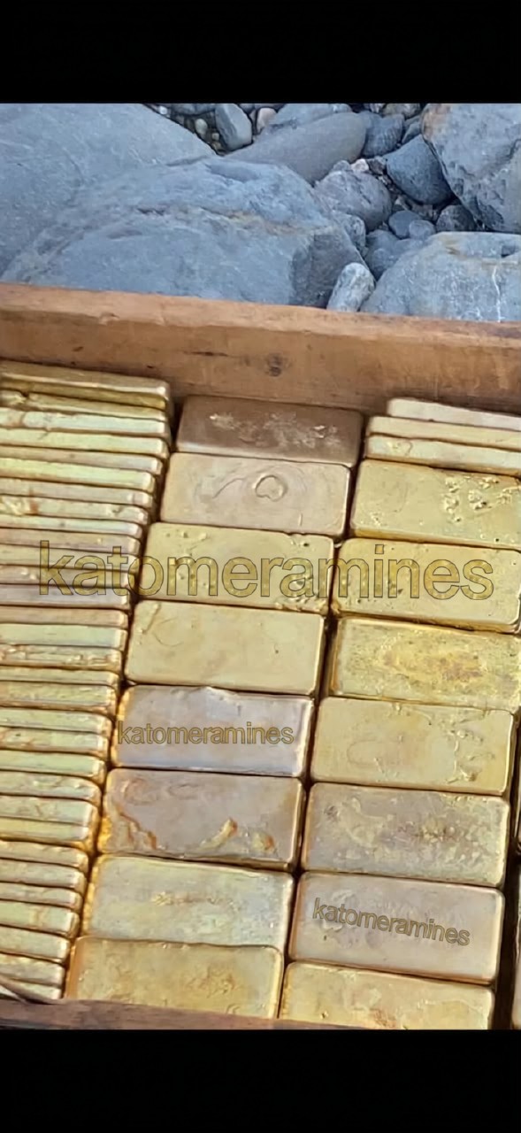 High-purity gold bars ready for export